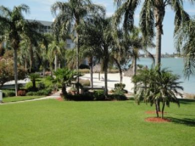 Grounds